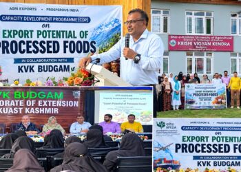 One-Day Capacity Development Programme on Export Quality Standards and Branding Held at KVK Budgam