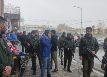 Poor, landless won’t be touched during eviction drive: DC Srinagar