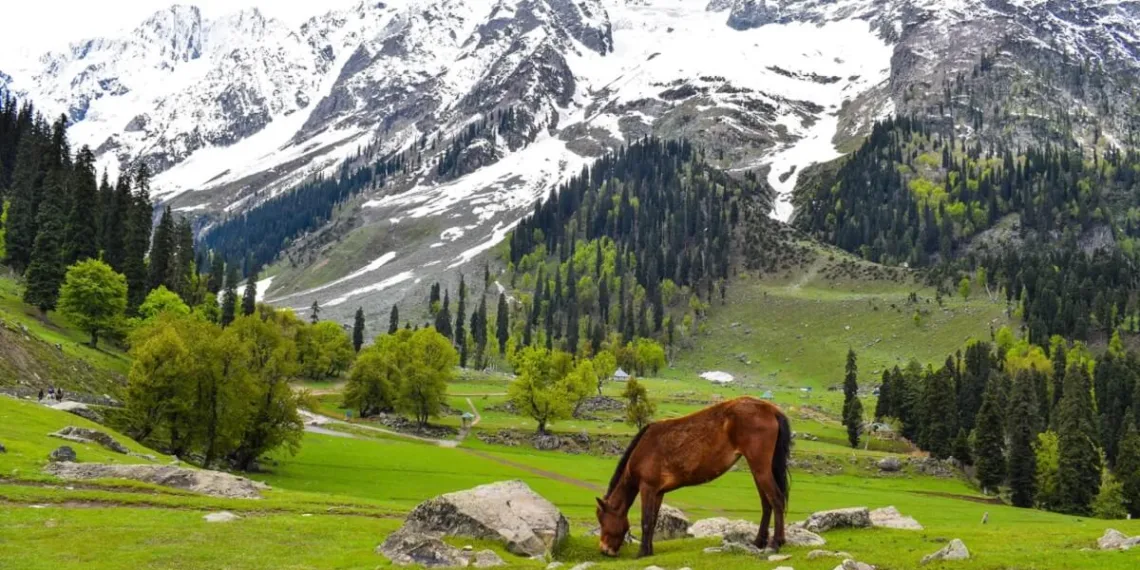 Exclusionary Legacy: How the 1949 Karachi Deal Entrenched Divided Rule in Jammu and Kashmir