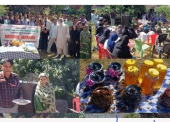 KVK Kupwara Organises Training on Natural Farming in Magam, 53 Farmers and 36 SKUAST-K Students Participate: