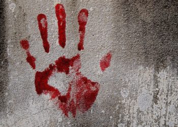 Young Woman Murdered, Chopped Into Pieces in Budgam, Accused Held: Police