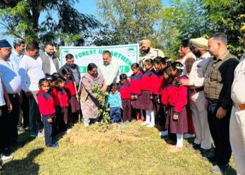 Nowshera Forest Division conducts series of plantation drives to celebrate UT Formation Day