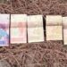 Pakistani Currency, Slip Carrying Pakistani Mobile Numbers Recovered During Search Operation in Poonch