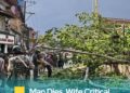 Man Dies, Wife Injured as Uprooted Tree Crashes Down During Windstorm in Anantnag