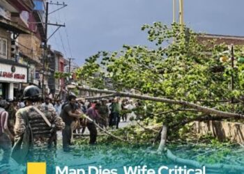 Man Dies, Wife Injured as Uprooted Tree Crashes Down During Windstorm in Anantnag