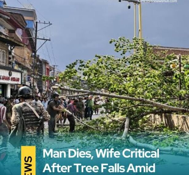 Man Dies, Wife Injured as Uprooted Tree Crashes Down During Windstorm in Anantnag