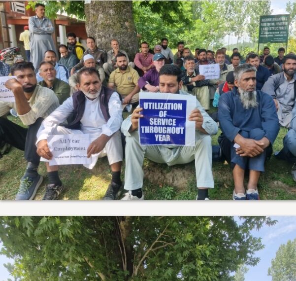 Seasonal Casual Labourers Stage Protest in Shadipora Bandipora, Demands Justice