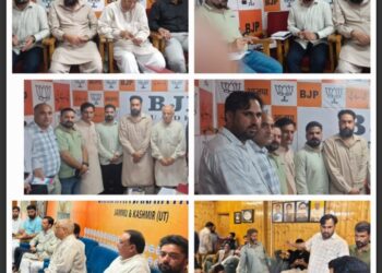 BJP Intensifies Organisational Outreach, Reviews Social Media Strategy in Srinagar