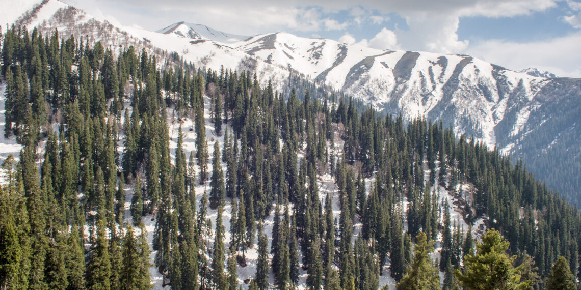 Sinthantop receives seasons first snow fall