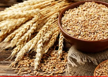 Wheat Prices vs Warships: The Real Choice in Islamabad