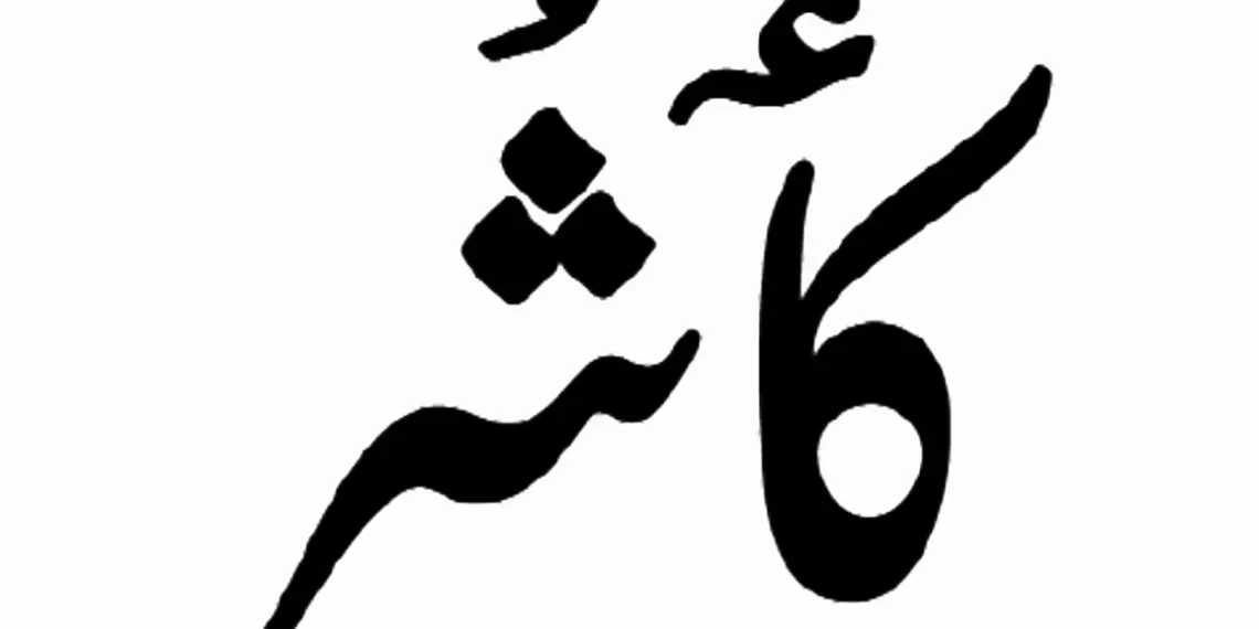 Kashmiri Language at Plus Two Level: AMK’s Request to District CEOs