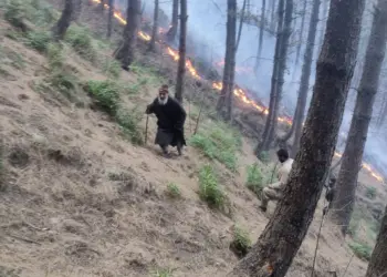 Massive Forest Fire in Karnah: Two Locals Injured While Battling Flames