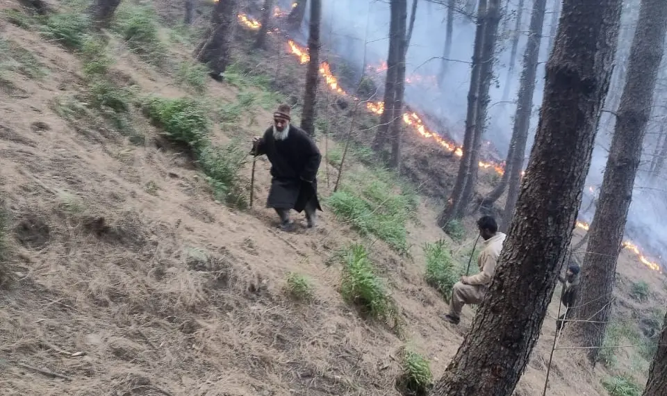 Massive Forest Fire in Karnah: Two Locals Injured While Battling Flames