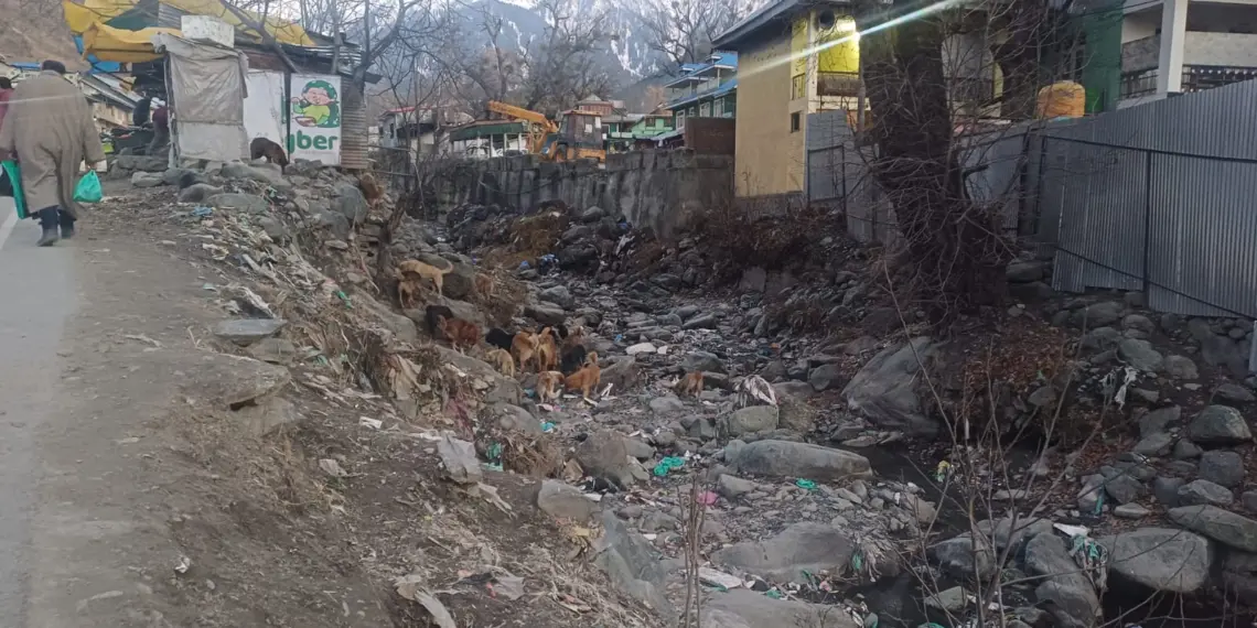 Vital Nallah Bata Moji in Karnah Dries Up: A Crisis for Agriculture & Environment