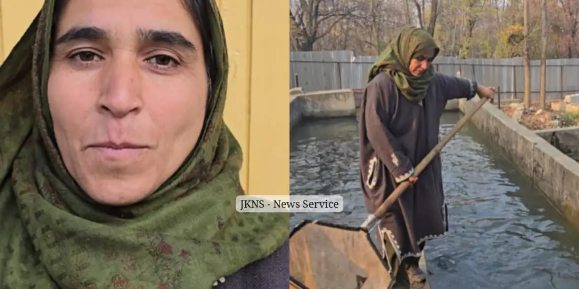 Home to Fish Farm: Budgam Woman Thrives in Fish Farming