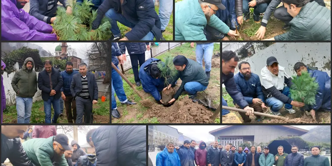 Chinar Day Celebrated with Massive Tree Plantation Drive in Srinagar