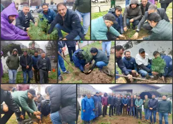 Chinar Day Celebrated with Massive Tree Plantation Drive in Srinagar