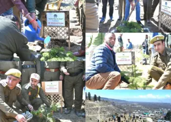 Mega Plantation Drive Held in Shopian to Mark World Forest Day 2025