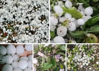 Heavy Hailstorm Damages Orchards in Several Villages of Shopian