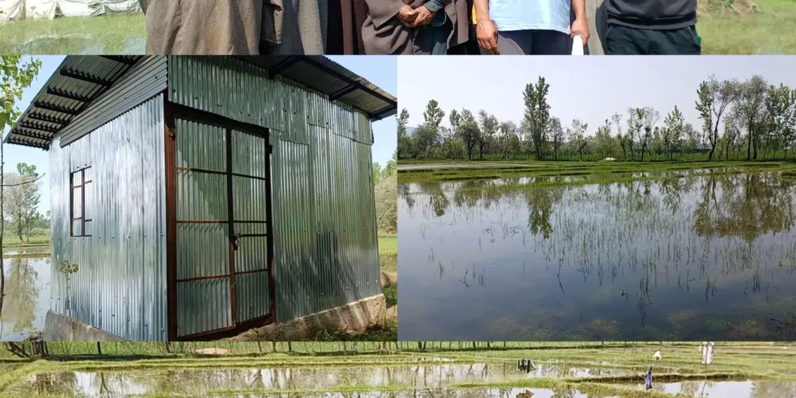 Chandrahgeer Farmers Face Crisis as Waterlogging Hits Cultivation Season