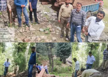 لولاَب کے جنگل سے غیرقانونی طور پر کاٹی گئی 24 لکڑیاں ضبط.