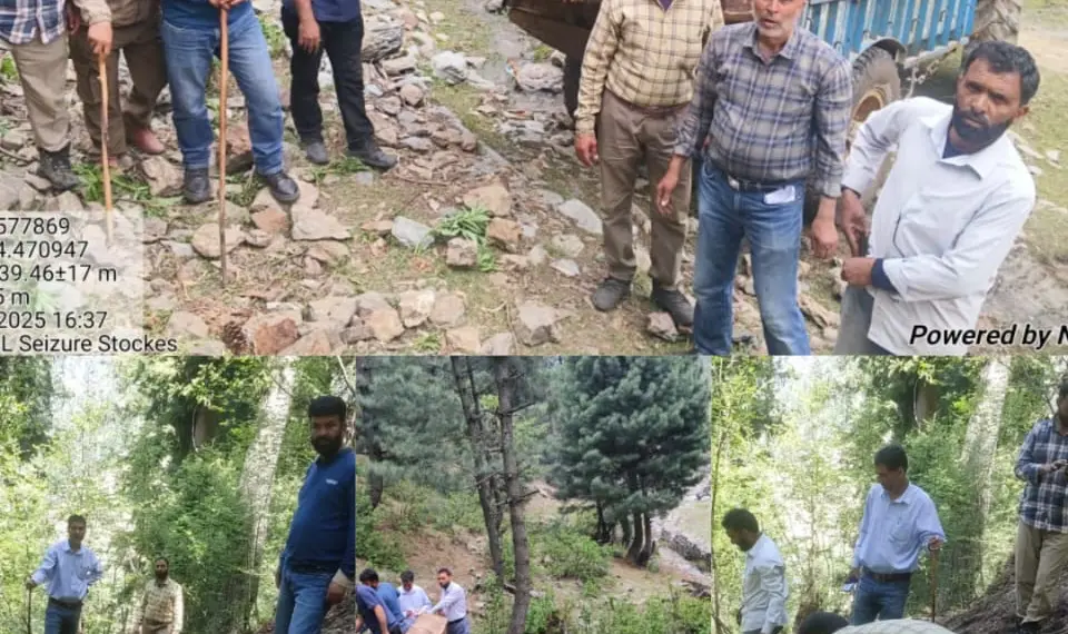 لولاَب کے جنگل سے غیرقانونی طور پر کاٹی گئی 24 لکڑیاں ضبط.