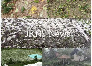 Hailstorm, Heavy Rain Damage Crops in Parts of Baramulla