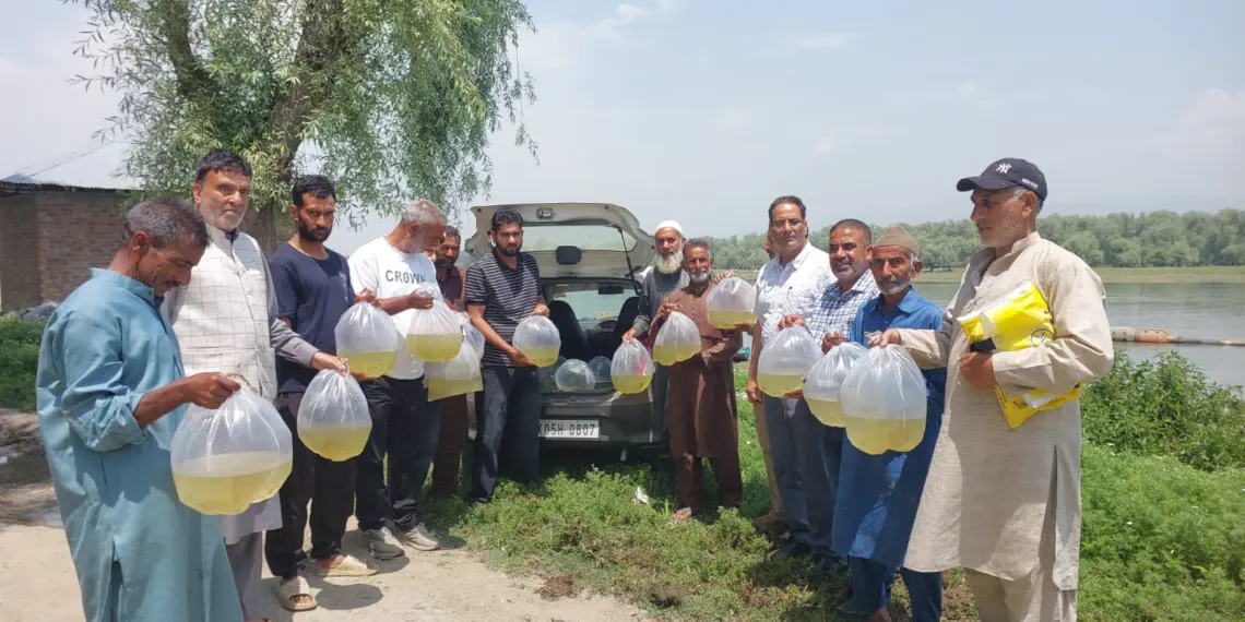 5 Lakh Fish Seed Stocked in Wular Lake, Other Water Bodies Across Baramulla: Fisheries Deptt