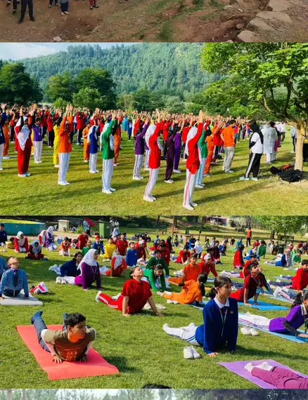 YSS Gears Up for International Yoga Day 2025