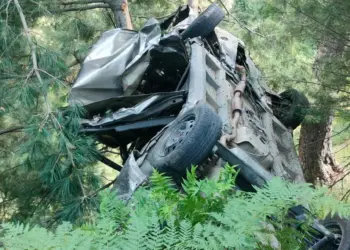 One Killed, Five Injured in Tragic Road Mishap on Sadhna–Chowkibal Route