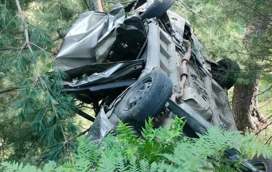 One Killed, Five Injured in Tragic Road Mishap on Sadhna–Chowkibal Route