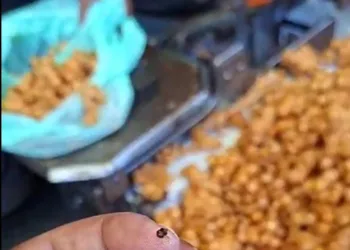 Stale Snacks Sold at Makhdoom Sahab Urs, Viral Video Raises Health Concerns; Devotees Slam Food Safety Dept