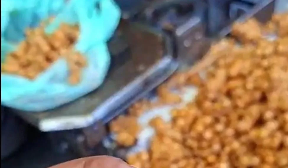 Stale Snacks Sold at Makhdoom Sahab Urs, Viral Video Raises Health Concerns; Devotees Slam Food Safety Dept