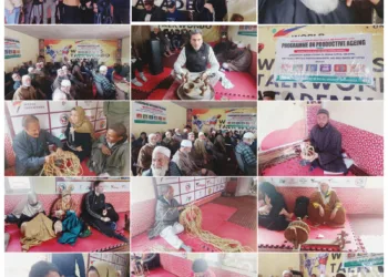 “Seniors Take Centre Stage: Celebration of Tradition and Talent”