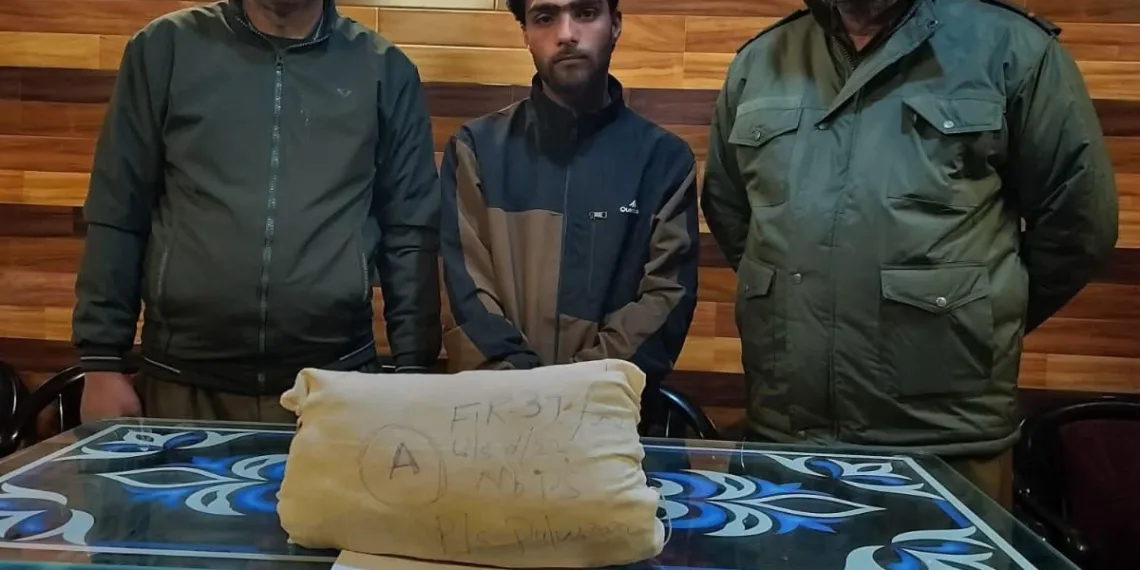 Drug Peddler Nabbed in Pulwama, 771 Grams of Contraband Recovered
