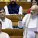 Congress Failed to Tackle Naxalism During Its Rule: HM Amit Shah in Lok Sabha