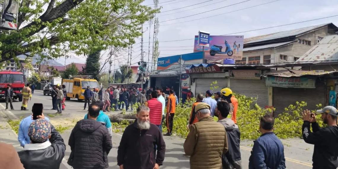 SDRF, F&ES Clear Dangerous Tree, Restore Traffic in Rajbagh