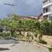 Two Injured as Tree Uprooted by Strong Winds Falls in Anantnag