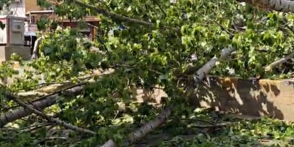 Woman Succumbs a Day After Husband Died in Tree Collapse During Windstorm in Anantnag