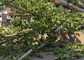 Woman Succumbs a Day After Husband Died in Tree Collapse During Windstorm in Anantnag