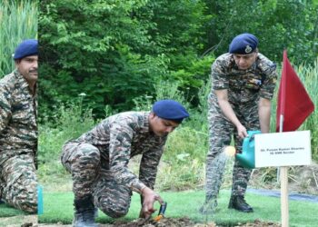 CRPF organises plantation drive on World Environment Day