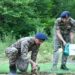 CRPF organises plantation drive on World Environment Day