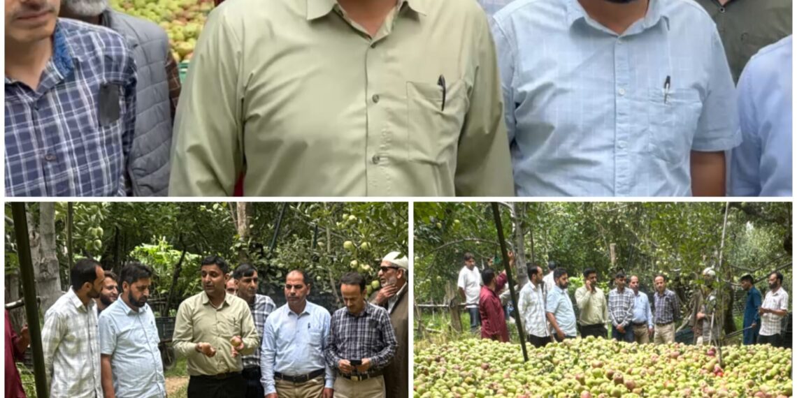 SDM Zainapora Visits Wind-Affected Villages of Hermain, Reviews Extensive Damage to Apple Orchards