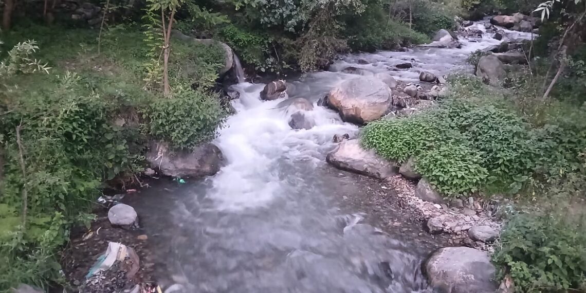 نالہ بتہ ماجی کے صاف و شفاف پانی کو آلودہ کرنے میں کون ذمہ دار ہے: