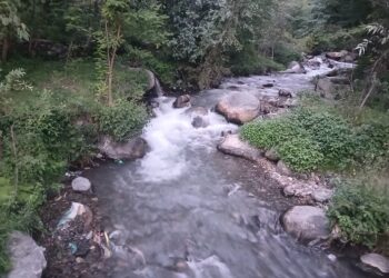 نالہ بتہ ماجی کے صاف و شفاف پانی کو آلودہ کرنے میں کون ذمہ دار ہے: