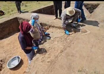“Zehanpora Site Can Emerge as Major Cultural Asset, Tourist Attraction”: CS Dulloo