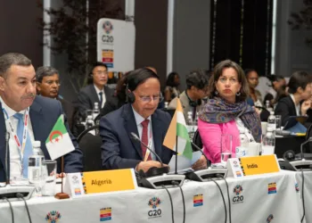 G20 DRR Working Group adopts Ministerial Declaration in Cape Town, backed by Indian delegation led by Dr P.K. Mishra