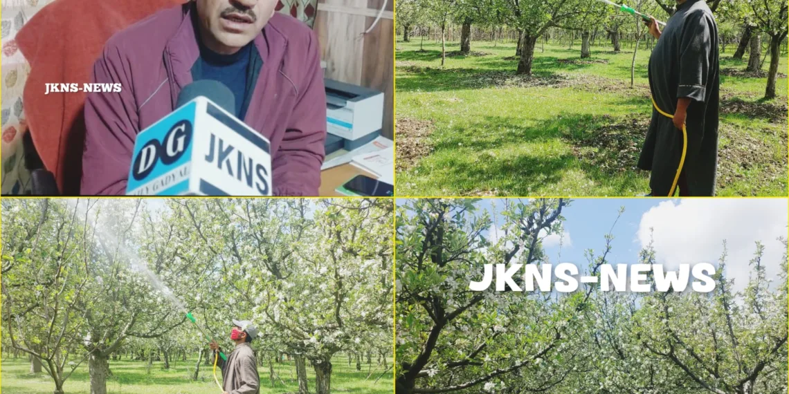 PGR use during bloom stage not advised, warns horticulture department