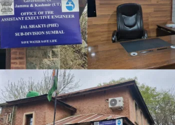 Residents Demand Permanent AEE for Sumbal Sub-Division; Former Chairman Appeals to Government