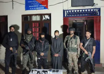 *Two Arrested with Arms and Ammunition in Shopian: Police